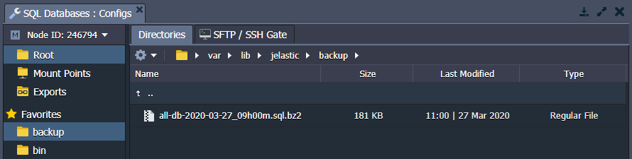 imagem mostrando o backup finalizado