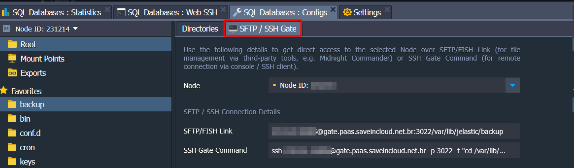 imagem mostrando configuração da conexão SFTP FISH ao ambiente na plataforma SaveInCloud