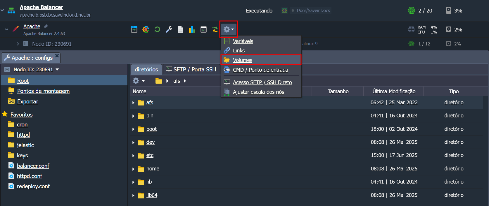 Passos para acesso as opções de montagem em Volumes